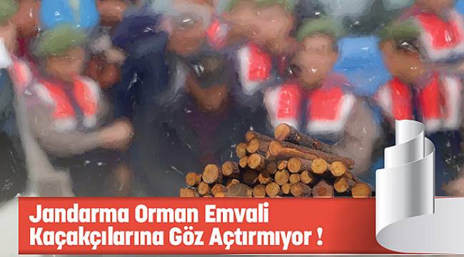 Orman Emvali Kaçakçılarına Operasyon