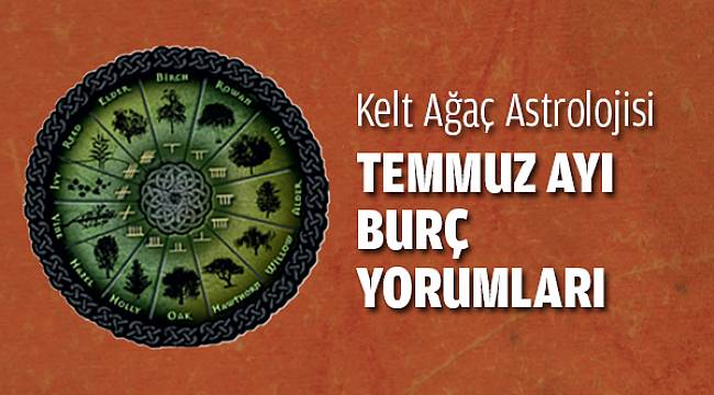 Ağaç Astrolojisi Temmuz Ayı Yorumları