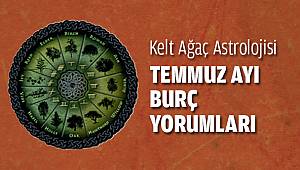 Ağaç Astrolojisi Temmuz Ayı Yorumları