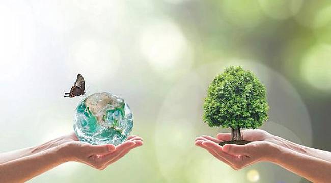 CHEP Sürdürülebilir Bir Dünya İçin Çalışıyor