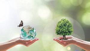 CHEP Sürdürülebilir Bir Dünya İçin Çalışıyor