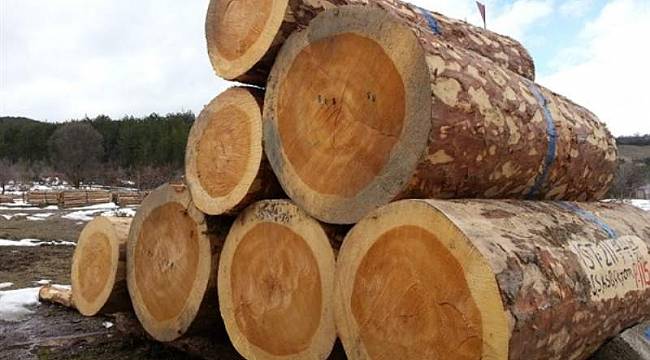 Sektöre Müjdeli Haber! Orman Ürünleri Fonları Kaldırıldı