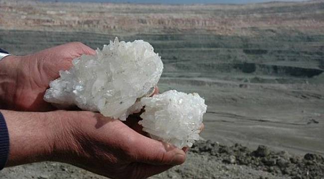 Endüstriyel Ormancılıkta BOR'un Önemi