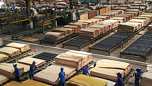 Akça Plywood Rusya'da Tesis Kuruyor
