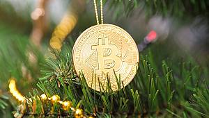 Bitcoin mi Ağaç Dikmek mi Daha Karlı!