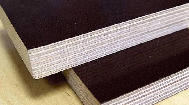 AB Plywood Kalite Standartlarını Arttırıyor