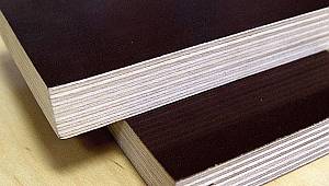 AB Plywood Kalite Standartlarını Arttırıyor