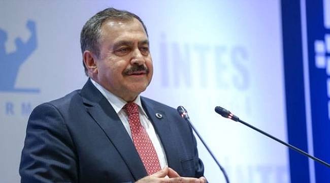 Ormanlık Alanların İşgali Söz Konusu Değildir