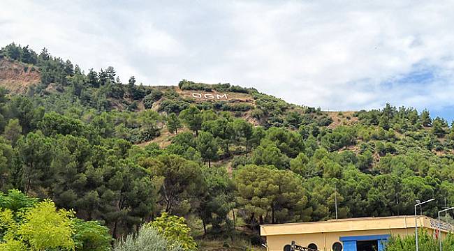 Yeni Sistem Yeni Orman Genel Müdürlüğü