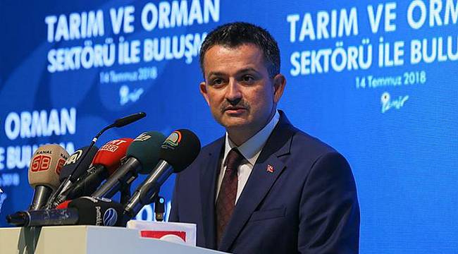 Teknoloji'nin İçinde Olmamız Gerek!