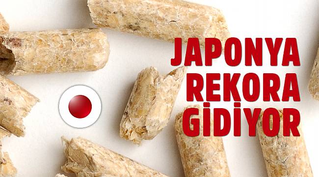 Japonya Pelet İthalatında Rekora Gidiyor