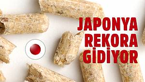 Japonya Pelet İthalatında Rekora Gidiyor