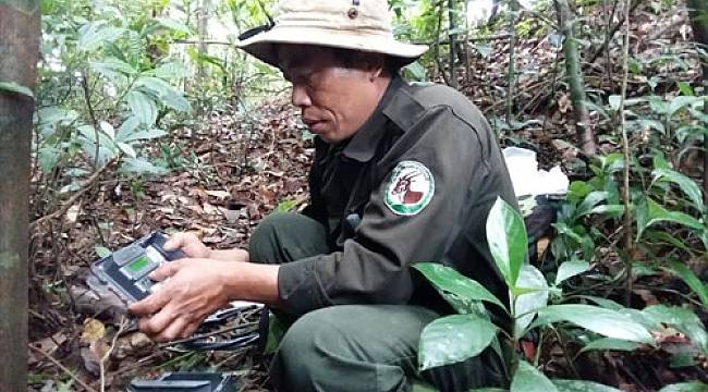Vietnam Orman Ürünleri İhracatında Rekor Kırdı