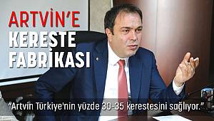 Artvin'e Kereste Fabrikası