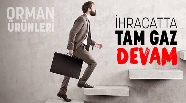 ORMAN ÜRÜNLERİ İHRACATI KALDIĞI YERDEN DEVAM