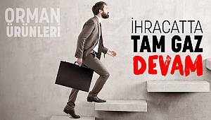 ORMAN ÜRÜNLERİ İHRACATI KALDIĞI YERDEN DEVAM