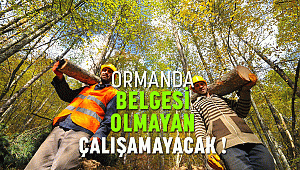 ORMANDA BELGESİ OLMAYAN ÇALIŞAMAYACAK!