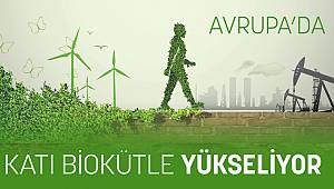 Avrupa’da Katı Biokütle Yükseliyor