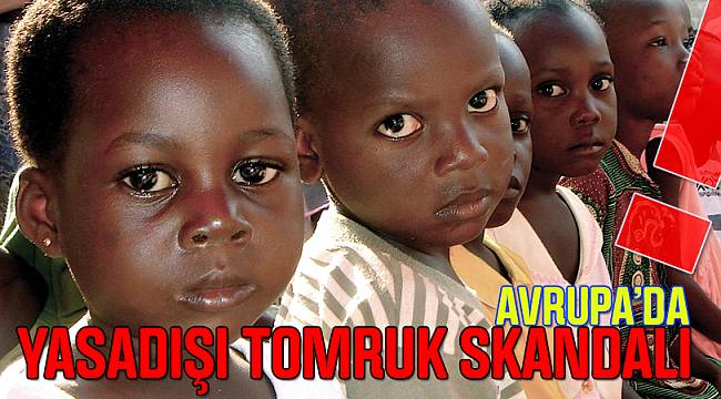 Avrupa’da Yasadışı Tomruk SKANDALI !