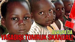 Avrupa’da Yasadışı Tomruk SKANDALI !