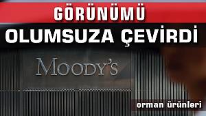 Moody's Küresel Orman Ürünleri Sanayinin Görünümünü olumsuza çevirdi