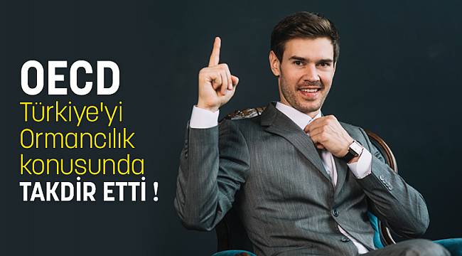 OECD Türkiye'yi Ormancılık konusunda TAKDİR ETTİ !