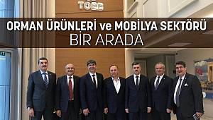 Orman Ürünleri ve Mobilya Ürünleri Meclisi, İstanbul’da toplandı