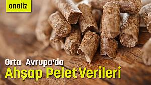 Orta Avrupa'da Ahşap Pelet Verileri