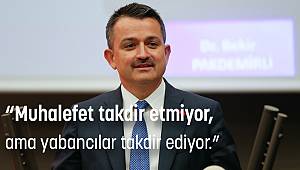 PAK DEMİRLİ :