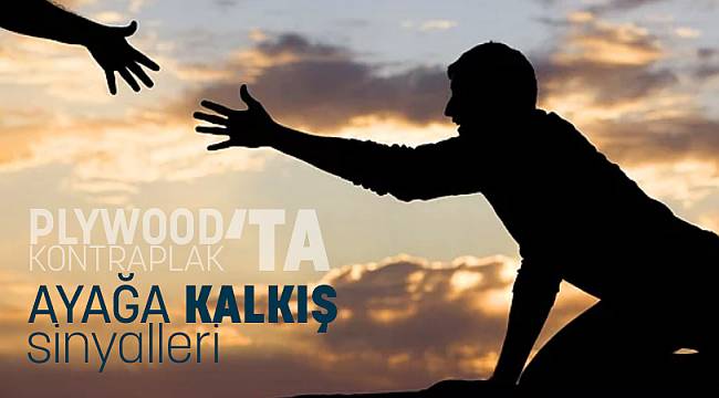 PLYWOOD/KONTRPLAK’TA AYAĞA KALKIŞ SİNYALLERİ! (YAVAŞ YAVAŞ)