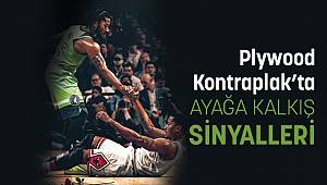 PLYWOOD/KONTRPLAK’TA AYAĞA KALKIŞ SİNYALLERİ! (YAVAŞ YAVAŞ)