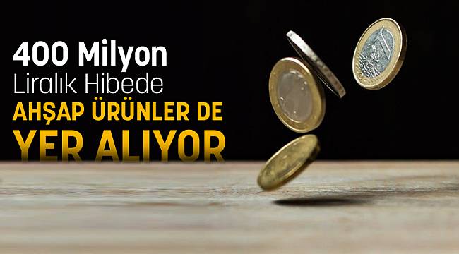 400 Milyon Liralık Hibede AHŞAP ÜRÜNLER DE YER ALIYOR