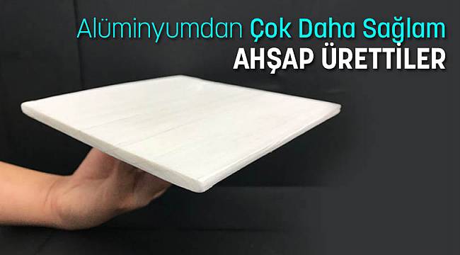Alüminyumdan Çok Daha Sağlam Ahşap Ürettiler
