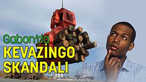 Gabon’da Kevazingo Skandalı