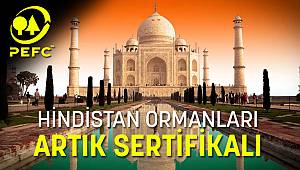 HİNDİSTAN ORMANLARI DA ARTIK SERTİFİKALI