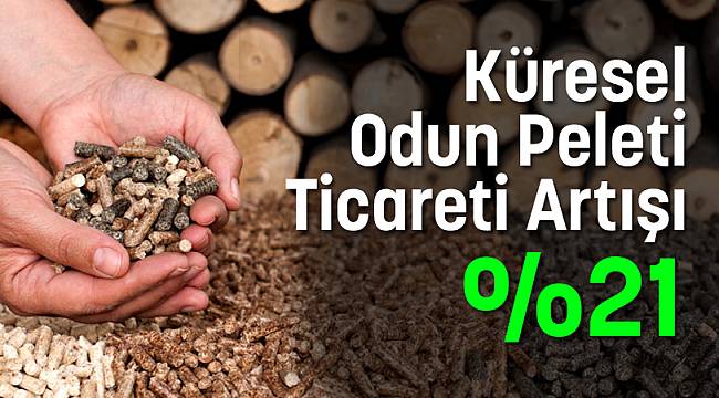 Küresel Odun Peleti Ticareti Artışı : % 21