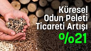 Küresel Odun Peleti Ticareti Artışı : % 21