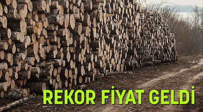 Rekor Fiyatla Satıldı