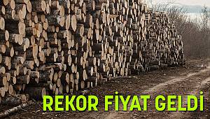 Rekor Fiyatla Satıldı