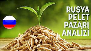 RUSYA PELET PAZARI ANALİZİ