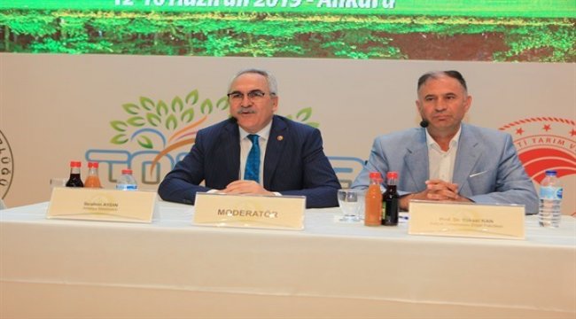 Ahşap Sektörü ve Odun Dışı Panelleri Yapıldı