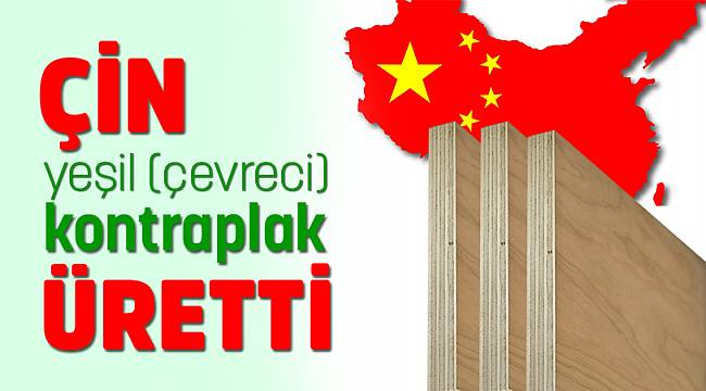 ÇİN YEŞİL(ÇEVRECİ) KONTRAPLAK ÜRETTİ