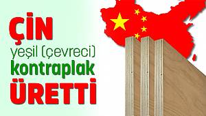 ÇİN YEŞİL(ÇEVRECİ) KONTRAPLAK ÜRETTİ