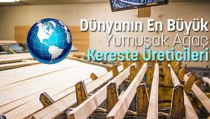 Dünyanın En Büyük Yumuşak Ağaç Kereste Üreticileri