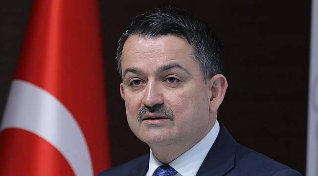 Ormancılık Sektörü 4 Milyar Dolar Katkı Hedefliyor
