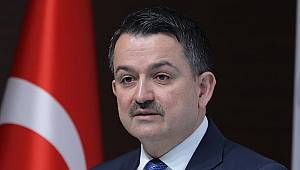 Ormancılık Sektörü 4 Milyar Dolar Katkı Hedefliyor