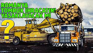 Romanya Tomruk İhracatını Yasaklayacak mı?