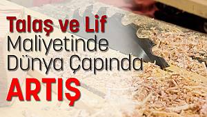 Talaş ve Lif Maliyetinde Dünya Çapında ARTIŞ