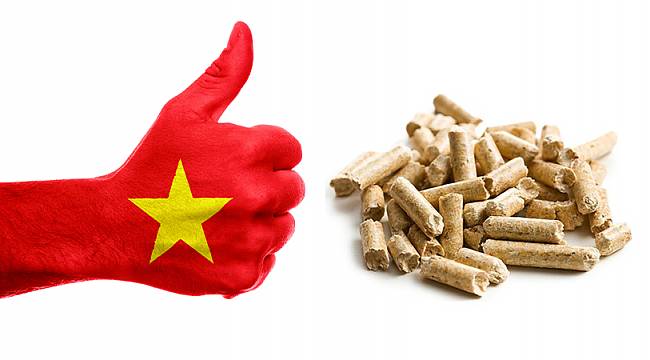 Vietnam İKİYE KATLADI