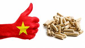 Vietnam İKİYE KATLADI